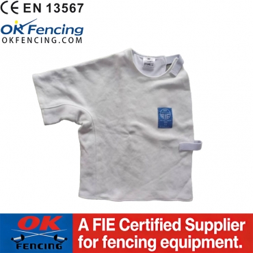 Fencing under plastr...